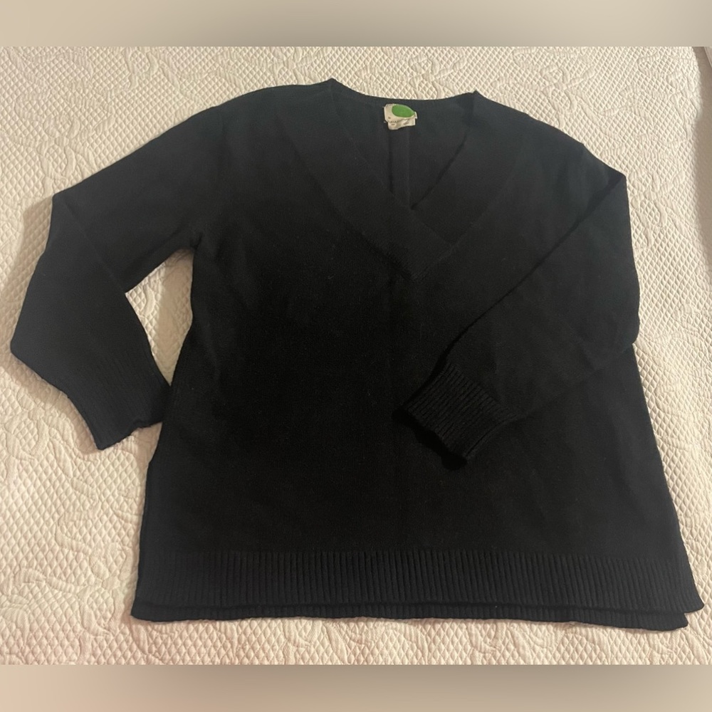 Black V-neck sweater